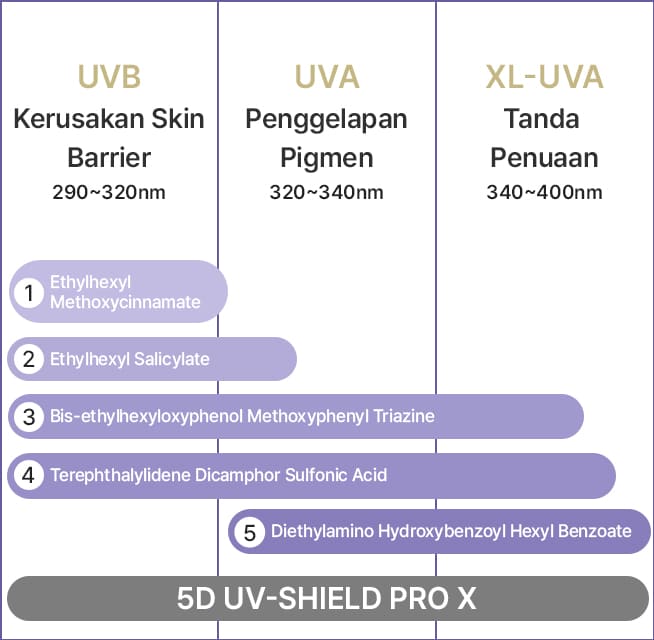 UVB Kerusakan Skin Barrier 290~320nm / UVA Penggelapan Pigmen 320~340nm / XL-UVA Tanda Penuaan 340~400nm