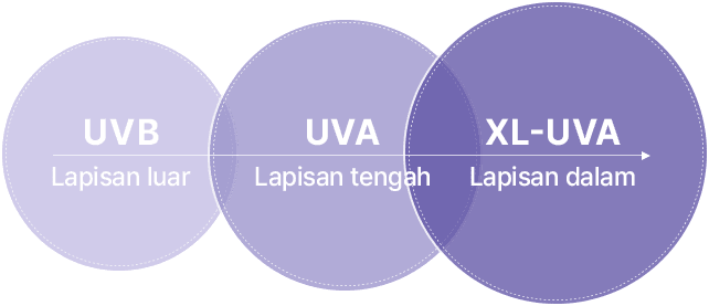 UVB Lapisan luar / UVA Lapisan tengah / XL-UVA Lapisan dalam