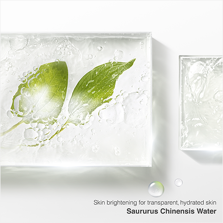 Skin brightening for transparent, hydrated skin Saururus Chinensis Water 