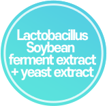 Lactobacillus Soybean ferment extract + yeast extract