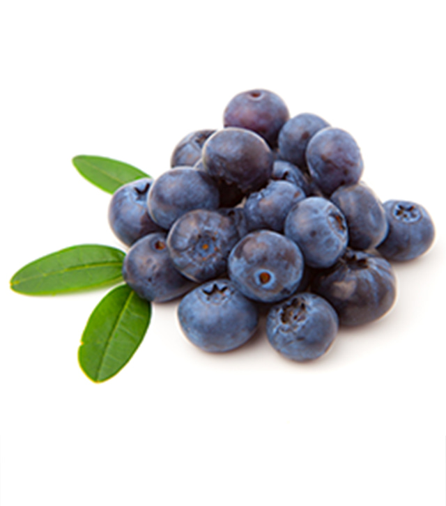 Blueberry extract for clear and healthy skin