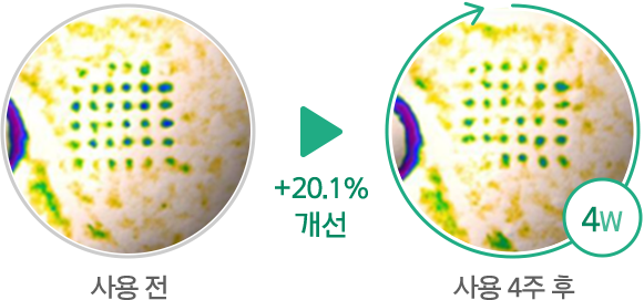하단 텍스트 참조