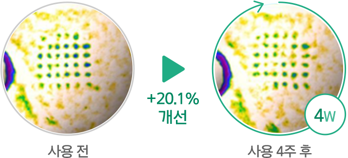 하단 텍스트 참조