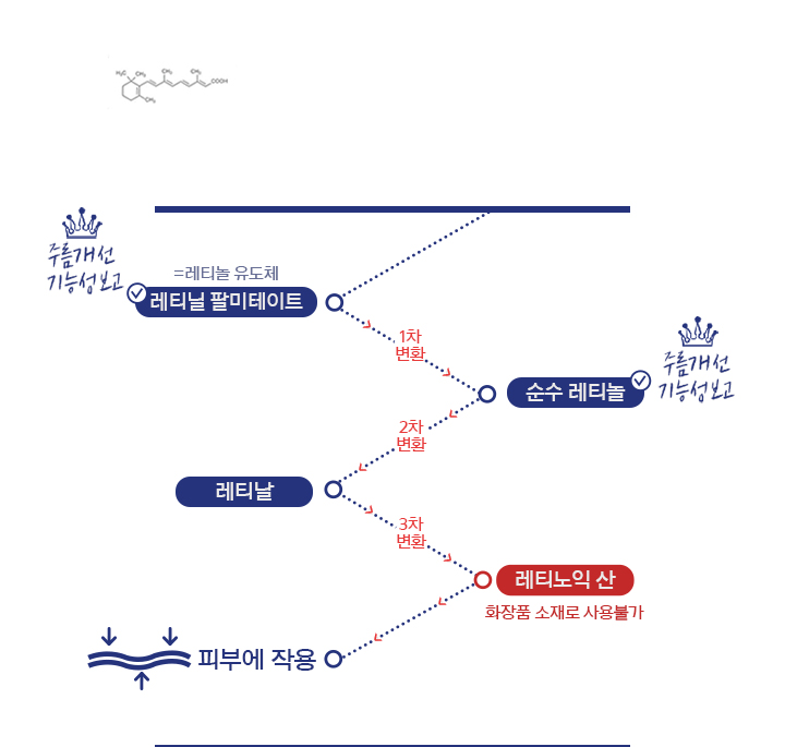 하단 텍스트 참고