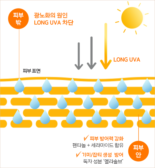 피부밖 광노화의 원인 LONG UVA 차단 / 피부 표면 / LONG UVA / 피부안 - 피부 방어력 강화 : 펜타놀+세라마이드 함유, 기미/잡티 생성 방어 : 독자 성분 '멜라솔브