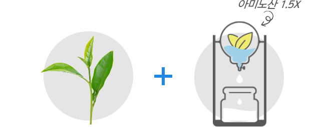 WHITE LEAF TEA WATER + 아미노산 1.5X