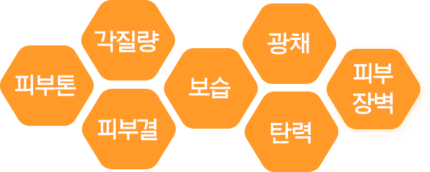 래디언씨 어드밴스드 이펙터 7가지 피부 개선 효과 : 피부톤, 각질량, 피부결, 보습, 광채, 탄력, 피부장벽