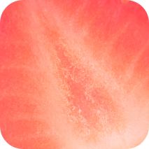 프레쉬 베리 향 라네즈 립 슬리핑 마스크의 달콤하고 촉촉한 사용감을 시각적으로 표현합니다.