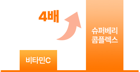 슈퍼베리 콤플렉스 효과 그래프, 슈퍼베리 콤플렉스의 항산화 효과 비타민C의 4배 증가