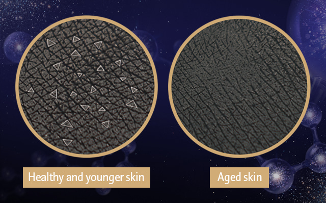 Healthy and younger skin, Aged skin image