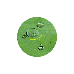 Skin Veil Base image
