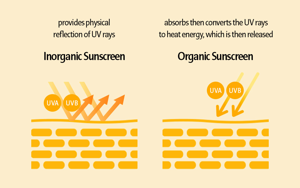 provides physical reflection of UV rays Inorganic Sunscreen/absorbs then converts the UV rays to heat energy, which is then released Organic Sunscreen